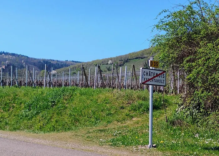 Gite Le Marronnier - Au Calme - Parking & Terrasse - Pres De Colmar Et Riquewihr - Route Des Vins