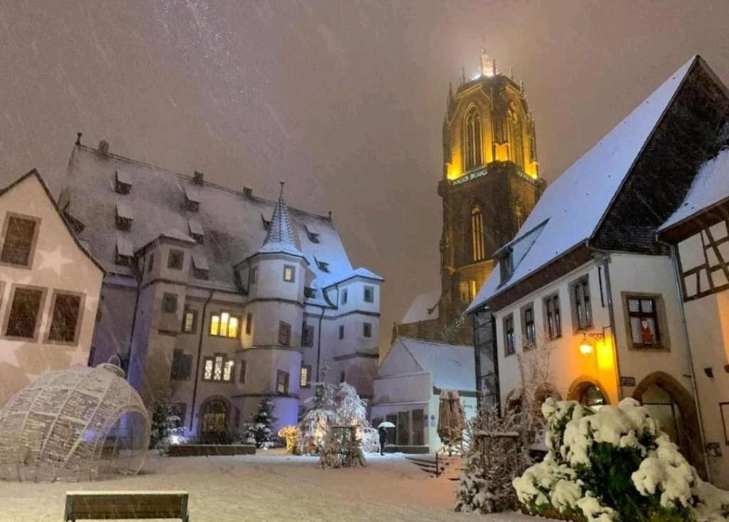 Apartment Le Marronnier - Au Calme - Parking & Terrasse - Pres De Colmar Et Riquewihr - Route Des Vins Chatenois (Bas-Rhin)
