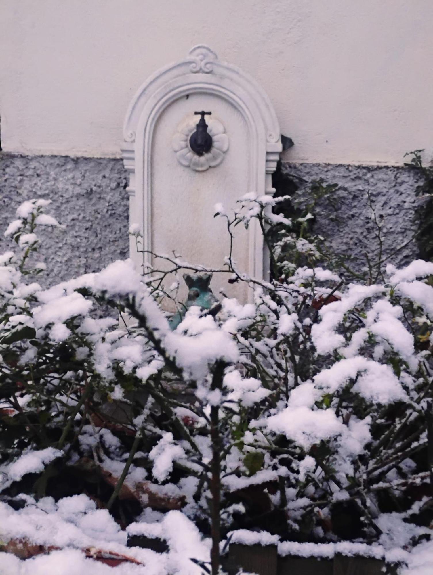 Apartment Le Marronnier - Au Calme - Parking & Terrasse - Pres De Colmar Et Riquewihr - Route Des Vins Chatenois (Bas-Rhin)