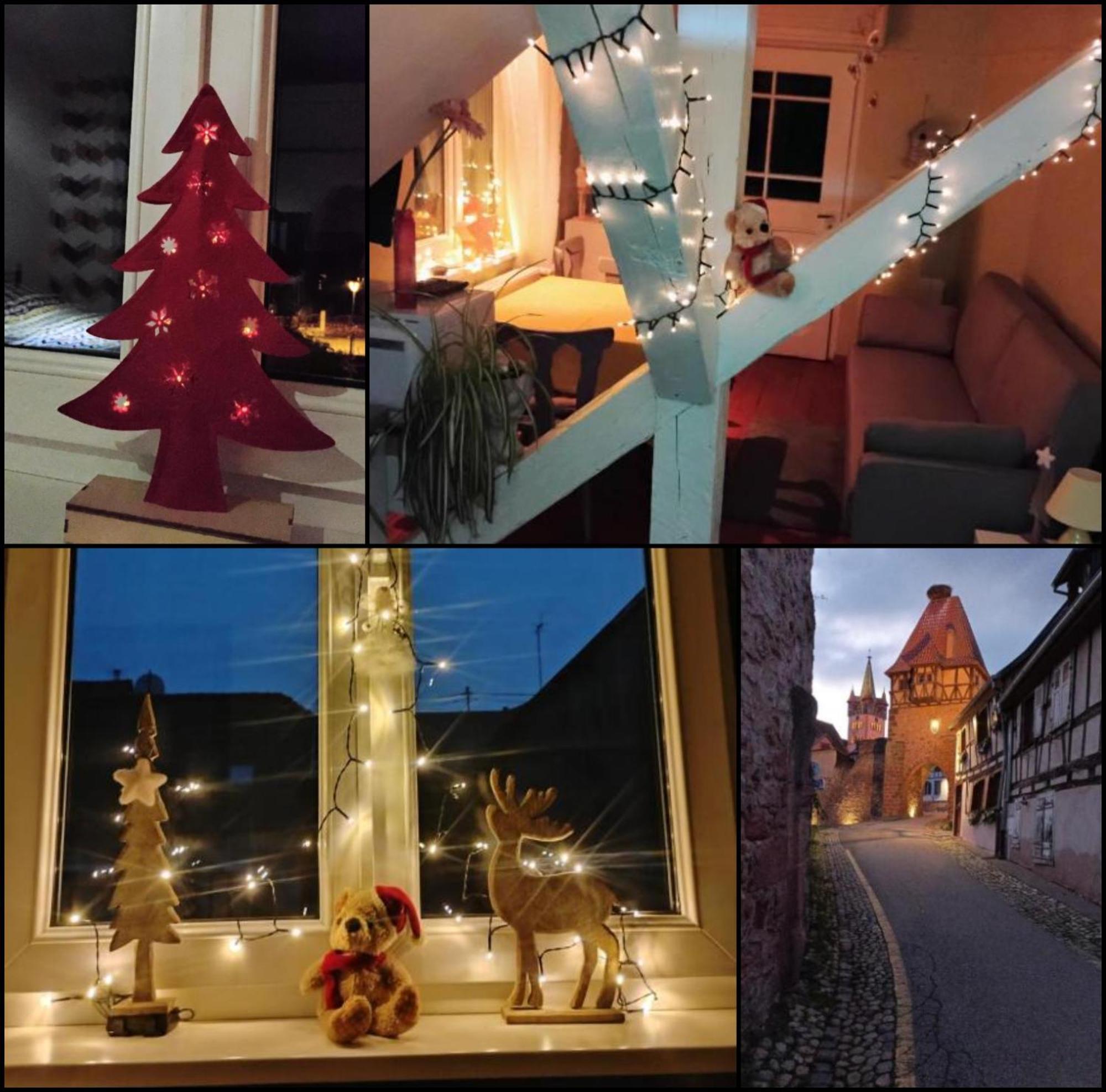 Le Marronnier - Au Calme - Parking & Terrasse - Pres De Colmar Et Riquewihr - Route Des Vins *