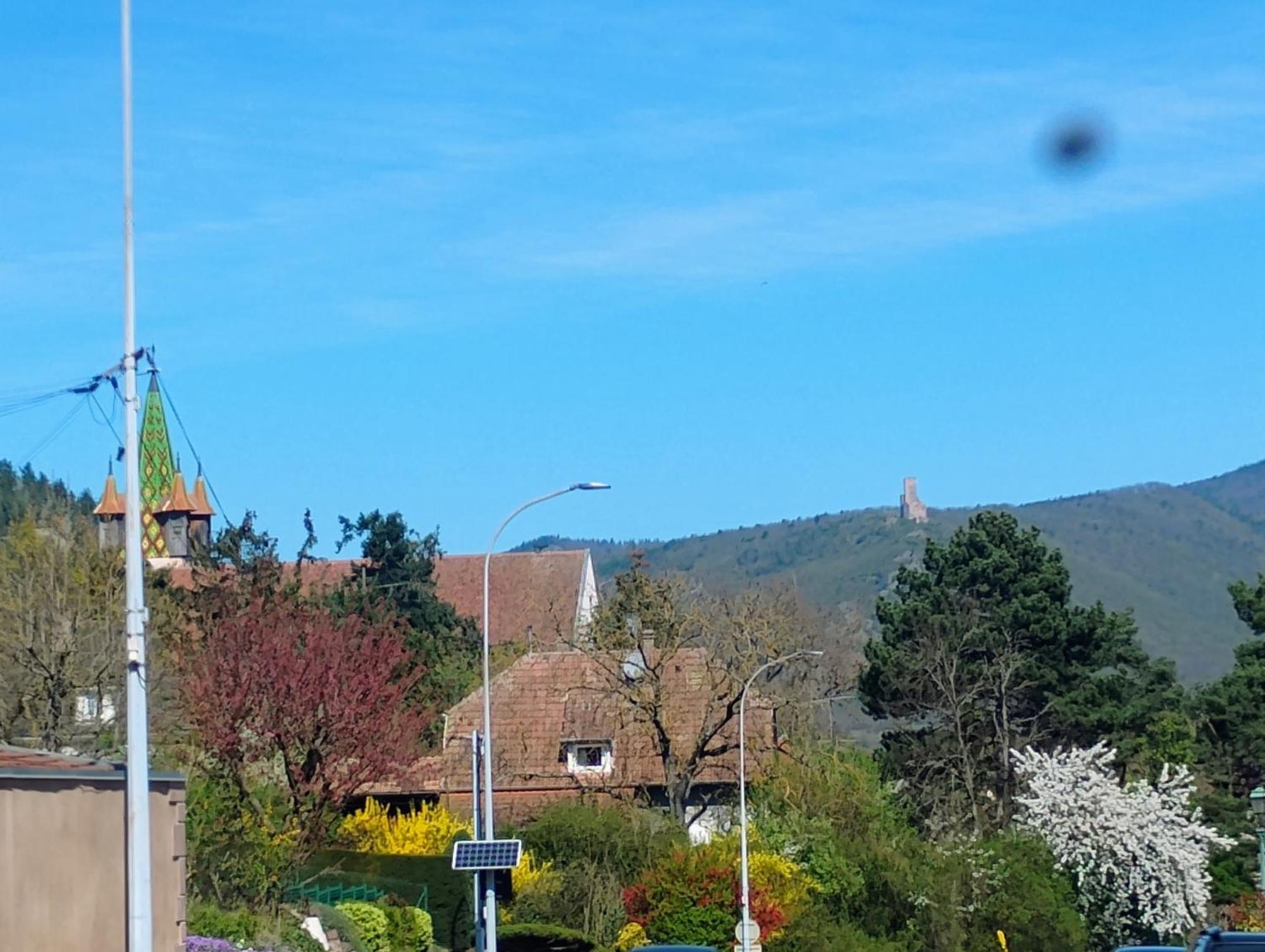 Le Marronnier - Au Calme - Parking & Terrasse - Pres De Colmar Et Riquewihr - Route Des Vins * Chatenois (Bas-Rhin)