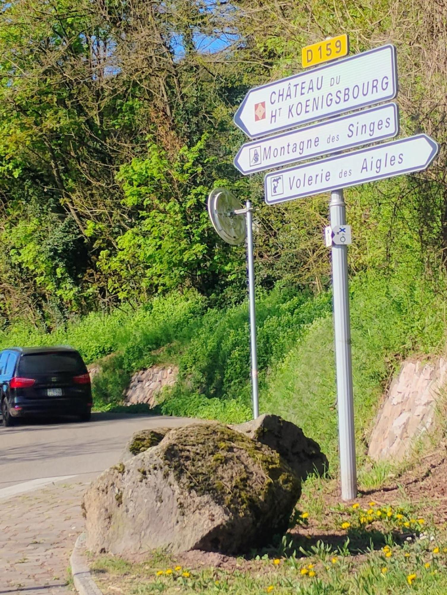 Apartment Le Marronnier - Au Calme - Parking & Terrasse - Pres De Colmar Et Riquewihr - Route Des Vins